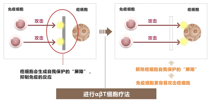 創(chuàng)造易于免疫機能發(fā)揮作用的環(huán)境